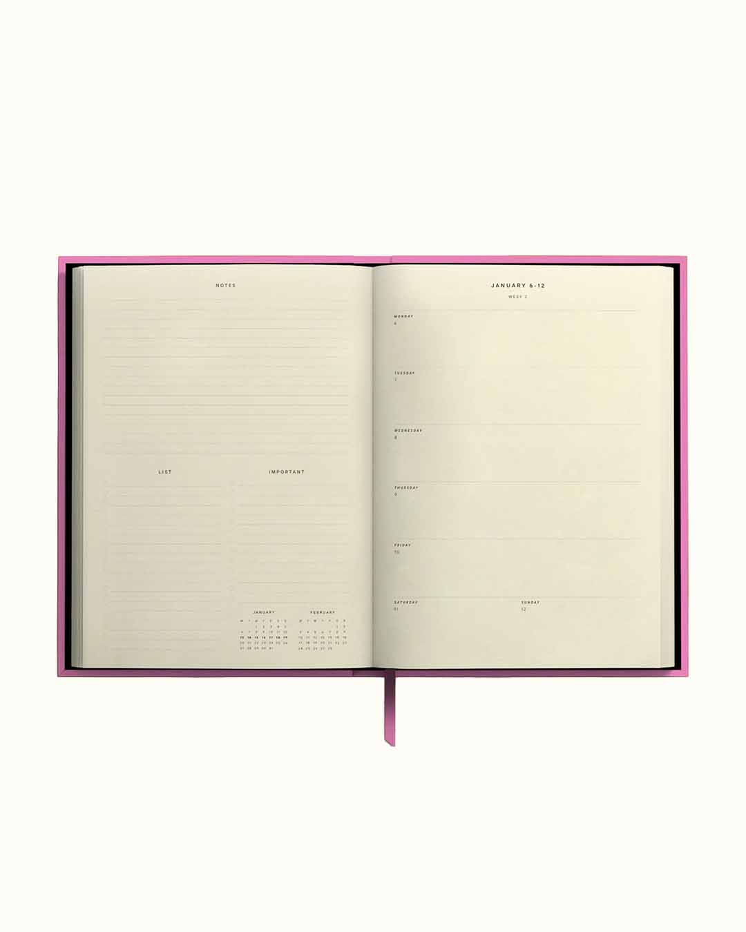 Blank Canvas Pink 2025 Diary